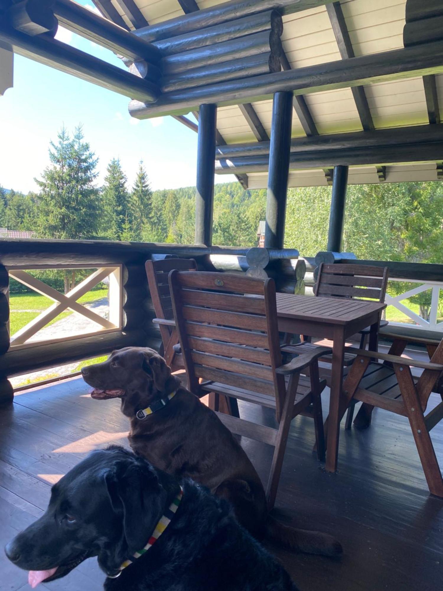 Relaxation In Guta Гута Покращене Шале 외부 사진