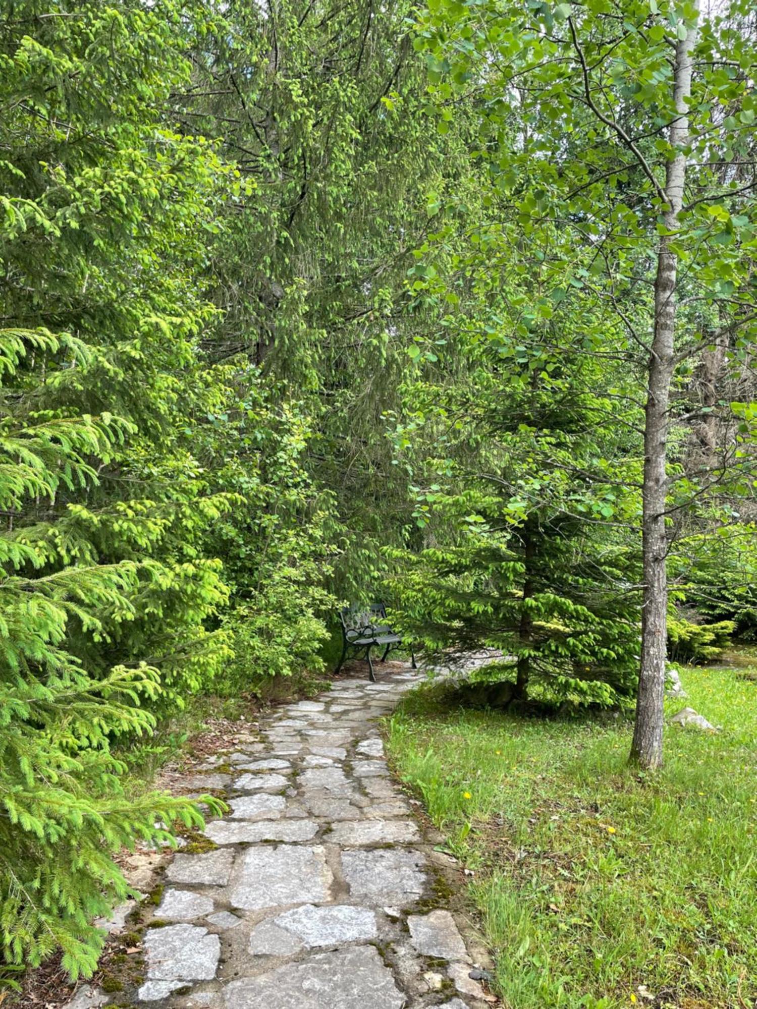 Relaxation In Guta Гута Покращене Шале 외부 사진